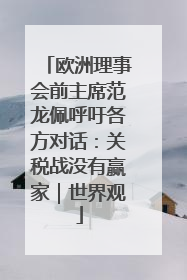 欧洲理事会前主席范龙佩呼吁各方对话：关税战没有赢家｜世界观